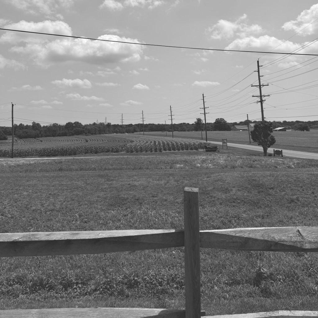 The Fields